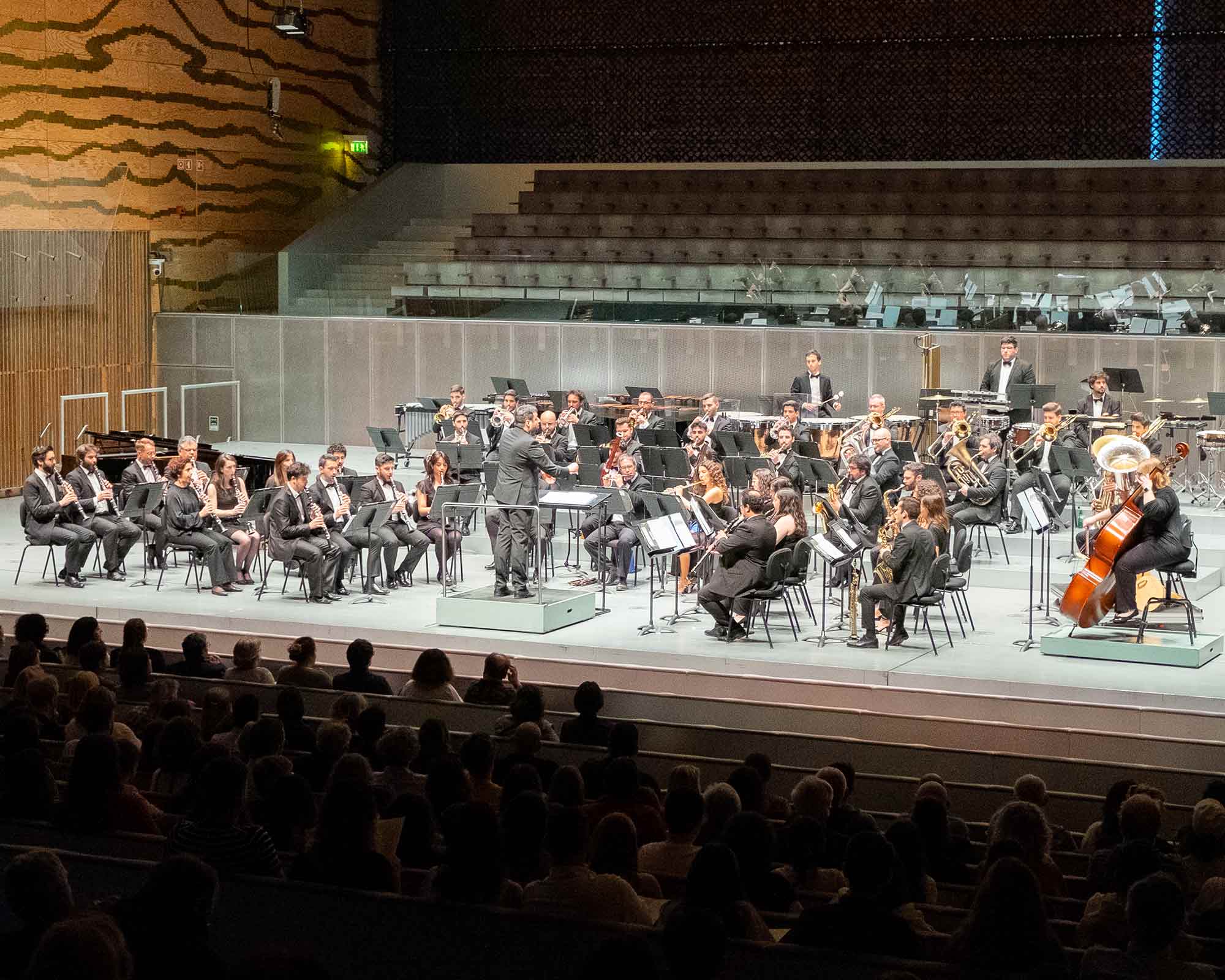 Musical Odyssey — official Casa da Música artwork