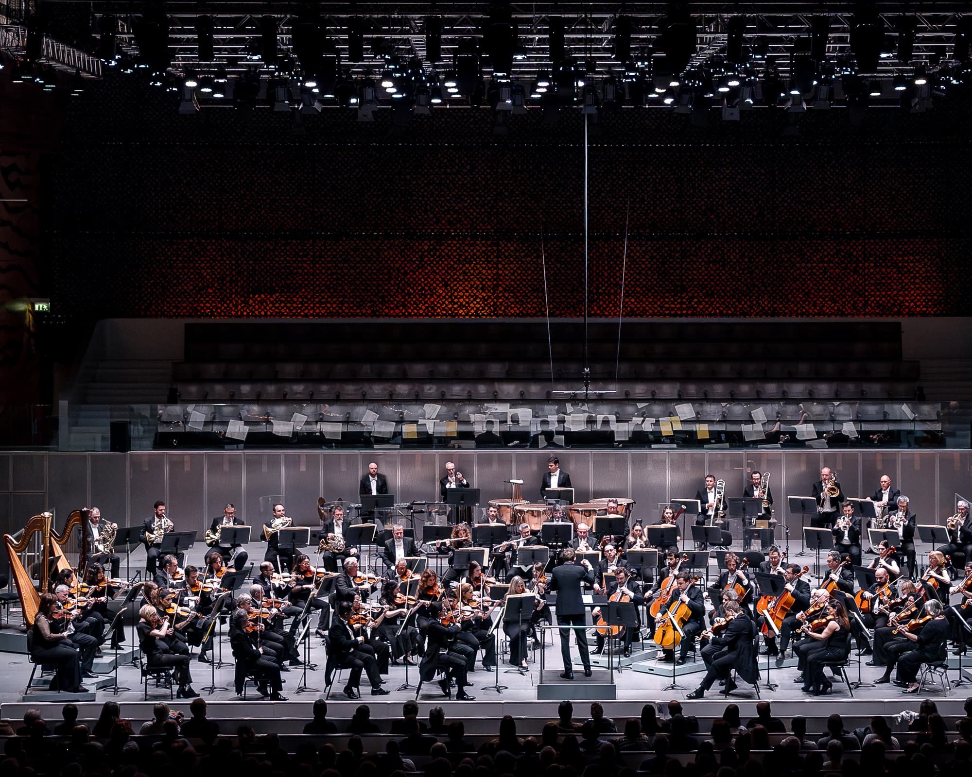 Orquestra Sinfónica do Porto Casa da Música — official Casa da Música artwork